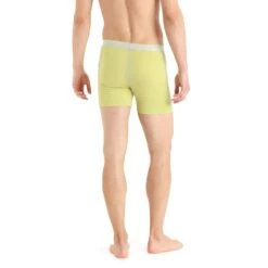 Icebreaker Boxershort Anatomica Print (Merinowolle) Unterwäsche Gelb/grau Herren -LaufPro Verkäufe Icebreaker 103029670 Boxershort 2 1200x1200 1