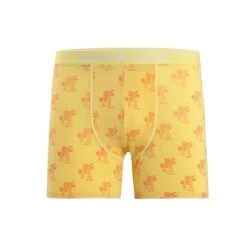 Icebreaker Boxershort Anatomica (Merinowolle) Graphic Unterwäsche Sonnengelb Herren