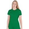JAKO Sport-Tshirt (Trikot) Challenge Grün Damen 2 JAKO Sport-Tshirt (Trikot) Challenge Grün Damen -LaufPro Verkäufe Jako Tshirt Challenge Damen 4221 201 1 1200x1200 1