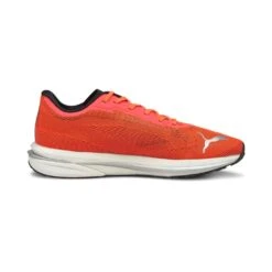 Puma Laufschuhe Velocity Nitro (Leichtigkeit) Orange Herren -LaufPro Verkäufe PUM 194596 pum 194596 01 Side20View2003 1024x1024 1