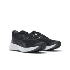Reebok Lauf-Sportschuhe Floatride Energy 5 2023 Schwarz Herren